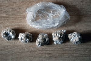 KRIO SE U IZNAJMLJENOM STANU, PA VALJAO DROGU: Policajci našli narkotike vredne 250.000 dinara
