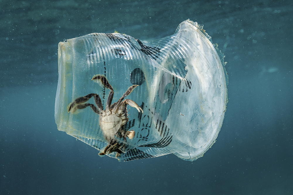 NEMA VIŠE PLASTIKE NA CRVENOM MORU: Egipat zabranjuje kese, slamke, čaše i sve što se koristi par minuta a truje prirodu još vekovima!