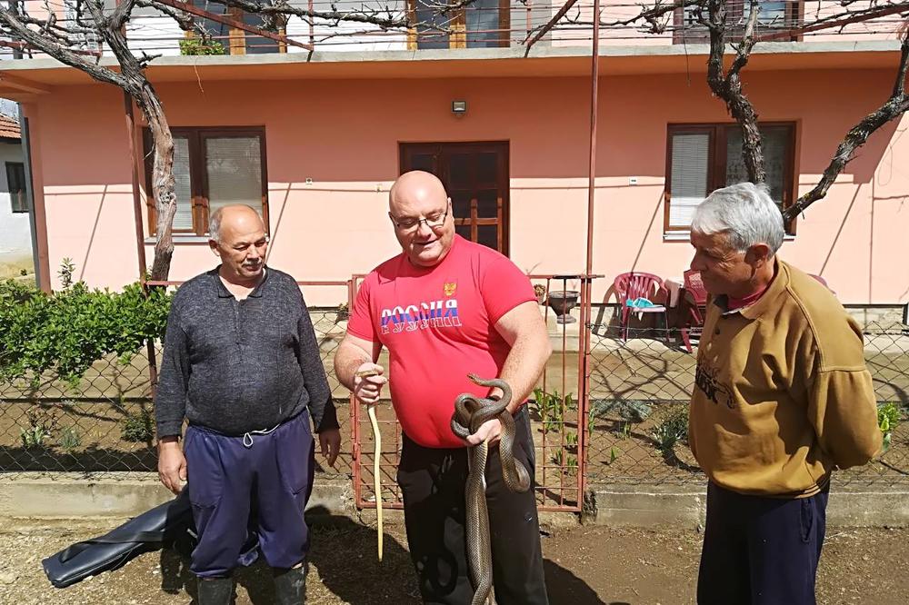 U SELU KOD VRANJA UHVAĆENE ZMIJE DUGE PREKO 2 METRA: Četiri smuka izvukli iz bunara