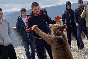 HABIB POSLE 22 GODINE PONOVO IZAŠAO NA MEGDAN ŽIVOTINJI: Nurmagomedov u klinču sa MEDVEDOM! (VIDEO)