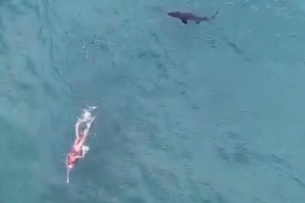 NIJE NI ZNAO KO GA PRATI: Velika ajkula odustala od ribe i krenula pravo na plivača! (VIDEO)