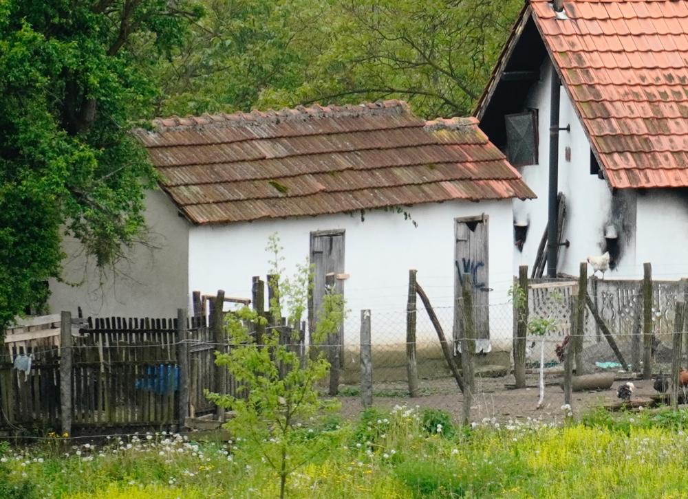 Užasno otrkiće... Toalet na imanju Jelene V.