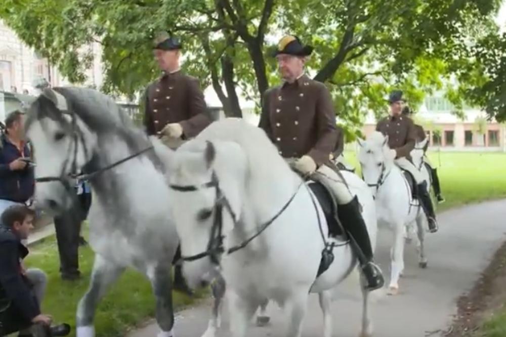 AUSTRIJA I SLOVENIJA UDRUŽILE SNAGE: Zajedničkom borbom lipicaneri će uskoro biti  na UNESKO listi svetske baštine!