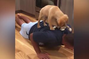 POTPUNO PRESLATKO! On radi sklekove dok mu pas sa igračkicom skakuće po leđima! (VIDEO)