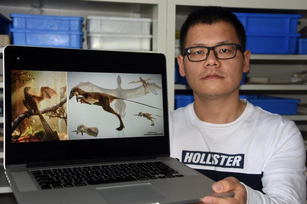 NOVA VRSTA LETEĆEG DINOSAURUSA PRONAĐENA U KINI: Fosil star 163 miliona godina pripada životinji nalik na slepog miša! (VIDEO)