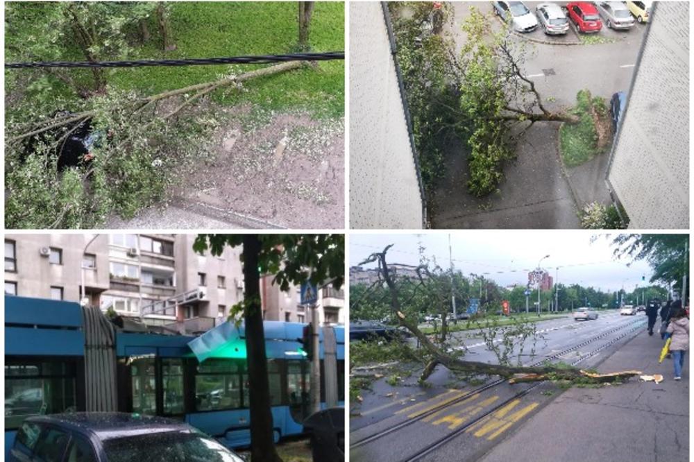 OLUJA ZATVORILA ZAGREPČANE U KUĆE: Neviđeno nevreme rušilo stabla i semafore, štandovi leteli na sve strane! Na ženu pala grana, povređen pešak u centru! (FOTO, VIDEO)