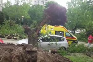 HITNA POMOĆ U ZAGREBU NA UDARU OLUJE: Tehničar srećom preživeo pad drveta, vatrogasci ga oslobađali celu noć (VIDEO)