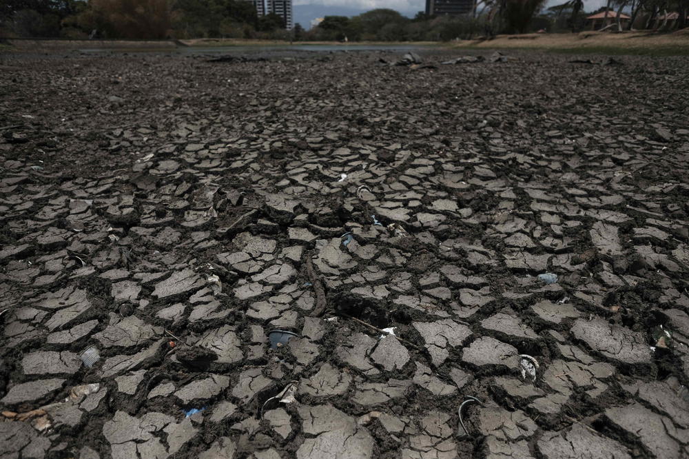 OVO IM SE NIJE DEŠAVALO 10 GODINA: Suša u Australiji, Sidnej uveo restrikcije vode