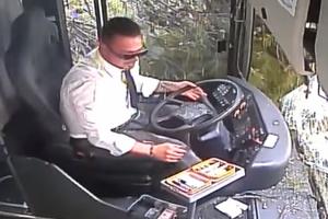VOZAČ IMAO NEVIĐENU SREĆU: Pogledajte kako je drvo palo na putnički autobus tokom vožnje (VIDEO)
