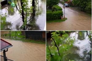 POTOP U KRALJEVU: Izlili se potoci, voda ušla u kuće, a kiša i dalje pada (FOTO, VIDEO)