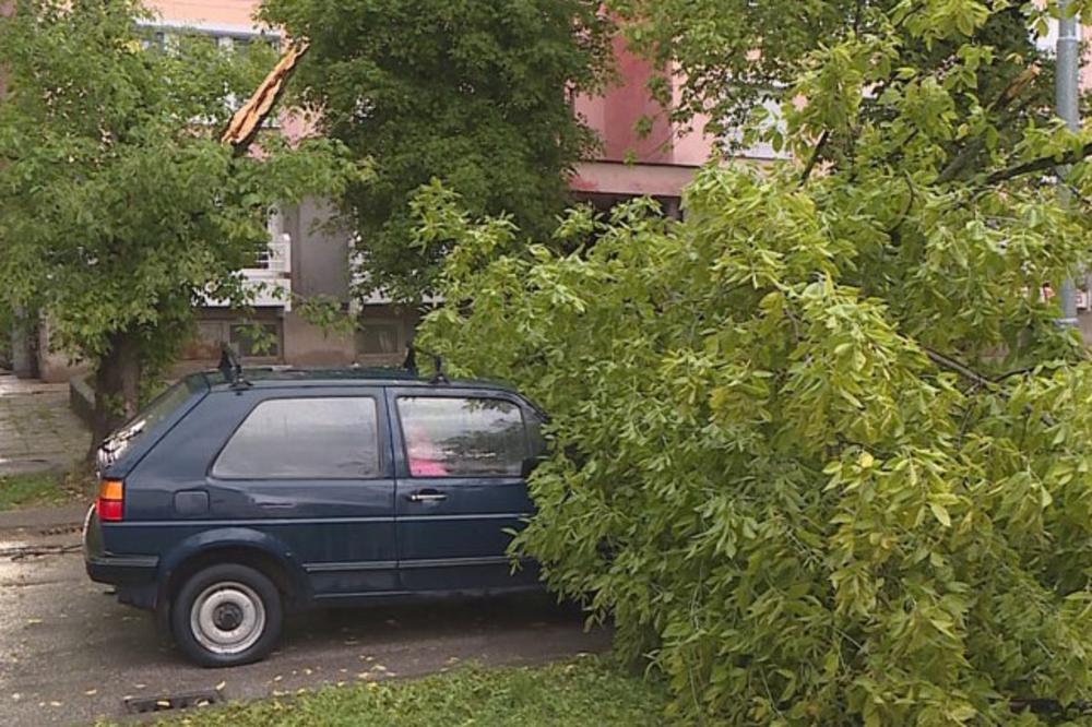 JAKO NEVREME U BANJALUCI: Olujni vetar rušio drveće, na grad se sručila jaka kiša!