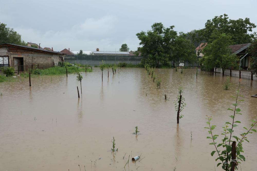 1.000 HEKTARA POD VODOM, VANREDNA SITUACIJA I U DESPOTOVCU: Poplavljeno 5 mostova, aktivirana klizišta!