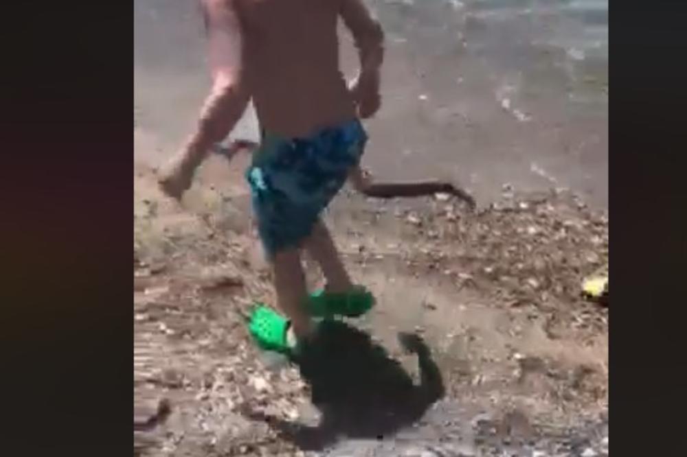 PANIKA NA CRNOGORSKOJ PLAŽI: Dok su se deca igrala pojavila se nepoznata zmija duga skoro metar! (VIDEO)