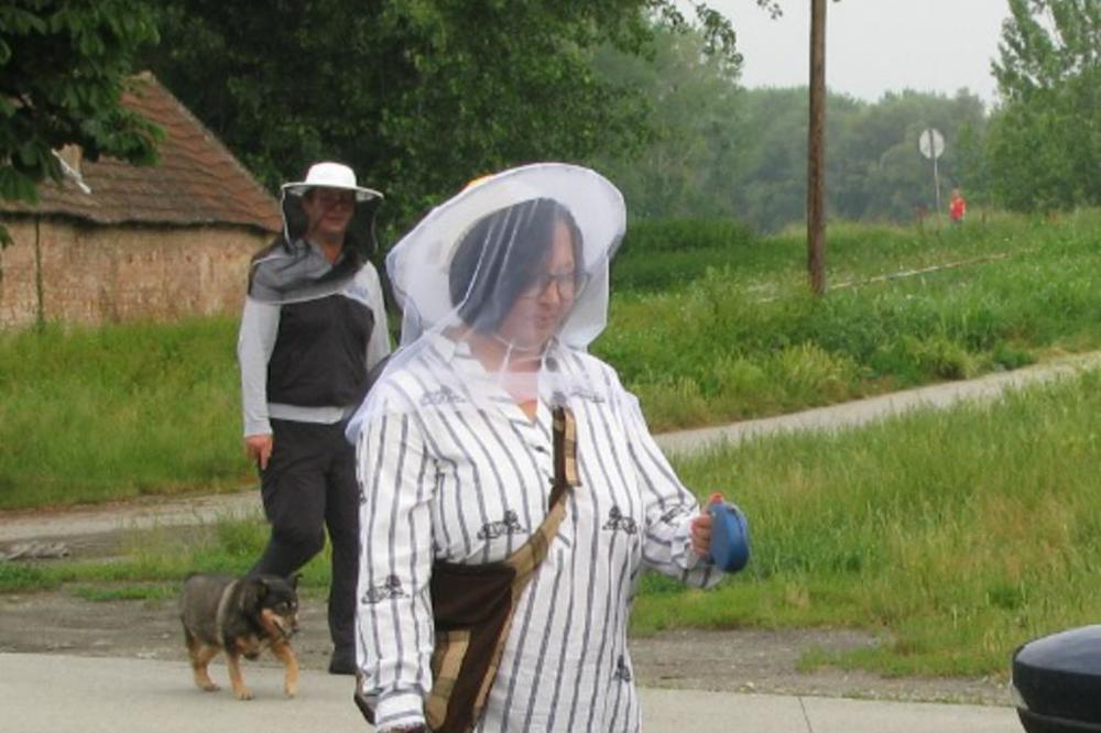 OVAKO SE U OSIJEKU IDE U ŠETNJU: Invazija komaraca je tolika da ne može da se živi (FOTO)