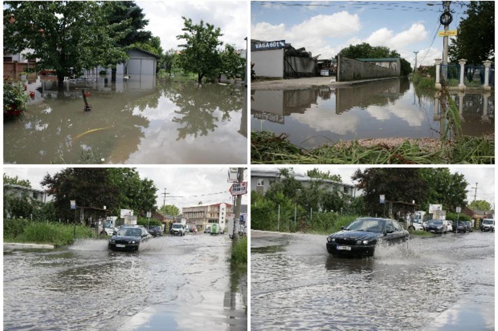 OBILNE PADAVINE UGROZILE NASELJA NA LEVOJ OBALI DUVANA: Pogledajte kakva je situacija u beogradskim naseljima posle jučerašnje oluje (KURIR TV)