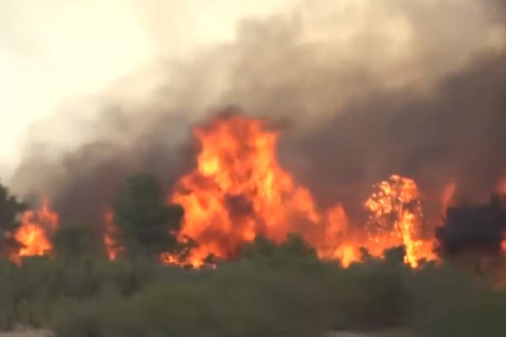 VIŠE OD 100 POŽARA DIVLJA U AUSTRALIJI: Vetrovi sve više rasplamsavaju vatru, opustošeno hiljade hektara zemlje! (VIDEO)