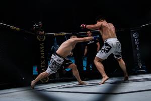 MMA SPEKTAKL U BAČKOJ PALANCI: Za krunu šampiona SBC!