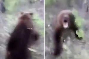 ČAČKAO MEČKU, ALI STVARNO! Ludi Rus gnjavio zver u šumi, pa NAGRABUSIO! (VIDEO)