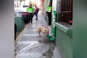 BRAVO LJUDI! Ovako policajci obezbeđuju vodu za ulične kuce i mace! (VIDEO)