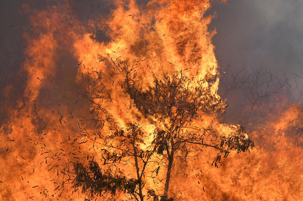 VANREDNO STANJE NA HAVAJIMA: Vatrogasci se bore sa požarima, evakuisane hiljade (VIDEO)