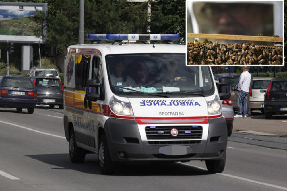 PČELE GRCIMA KOD NIŠA ULETELE U AUTO I IZBOLE IH: Radnici benzinske pumpe zvali Hitnu pomoć, zbog alergije Grk završio u bolnici