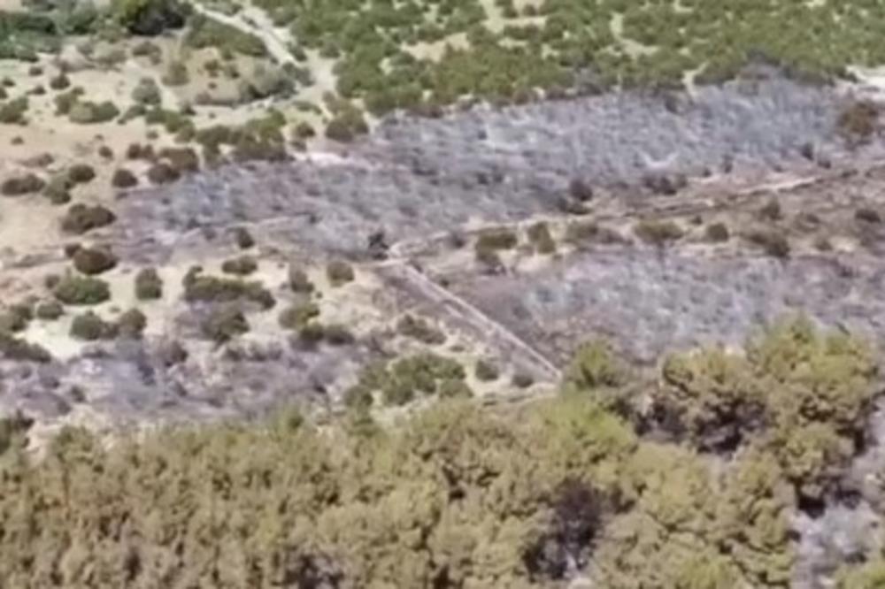 OVAKO IZGLEDA PUSTOŠ NAKON POŽARA NA HRVATSKOJ PLAŽI BLUDA: Vatra progutala 20 hektara borove šume na Zrću (VIDEO)