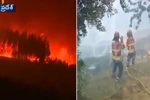PAKAO U PORTUGALIJI: Vatrogasci i vojnici se bore sa stravičnim šumskim požarima! Stanovništvo se evakuiše, ima povređenih, strahuje se od scenarija iz 2017. godine (FOTO, VIDEO)