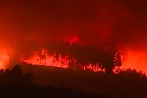 BUKTE POŽARI U PORTUGALIJI: Više od hiljadu vatrogasaca se bori sa vatrenom stihijom već 3. dan! Plamen uništava sve pred sobom, 31 osoba povređena (VIDEO)