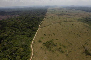 OVO JE KATASTROFA: Amazonska prašuma nestaje brzinom od 3 FUDBALSKA TERENA po minutu! Ako se to nastavi, posledice će biti užasne po celo čovečanstvo! (VIDEO)