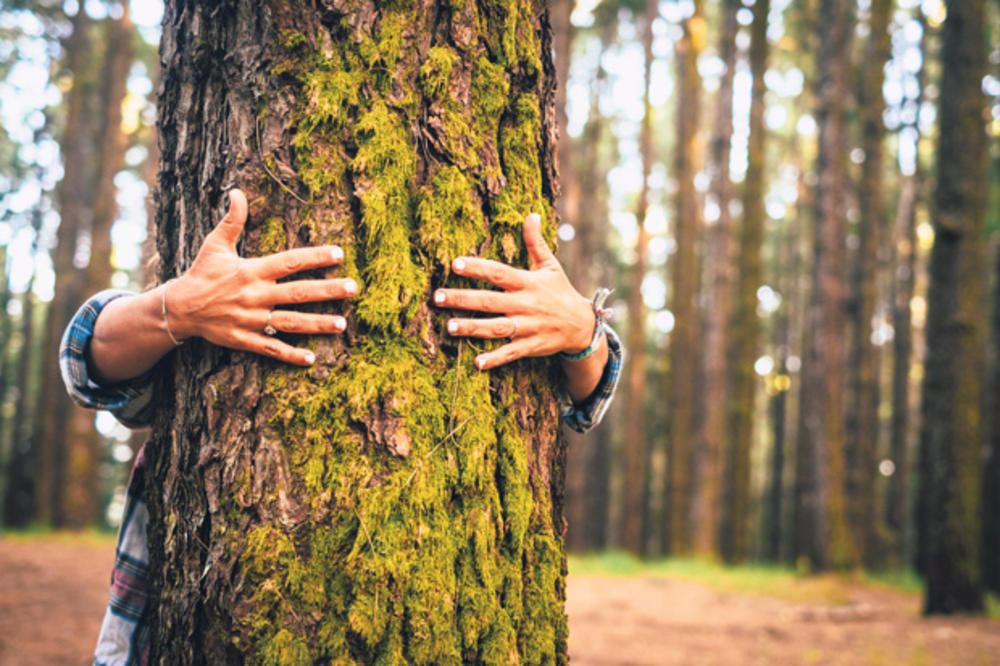 ZASADI DRVO, ZASADI SVOJ KISEONIK: Čuvajmo šume