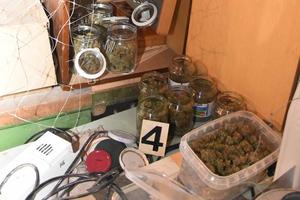 PALI DILERI U SUBOTICI: Policija zaplenila 7 kilograma marihuane, uhapšeno dvoje (FOTO)