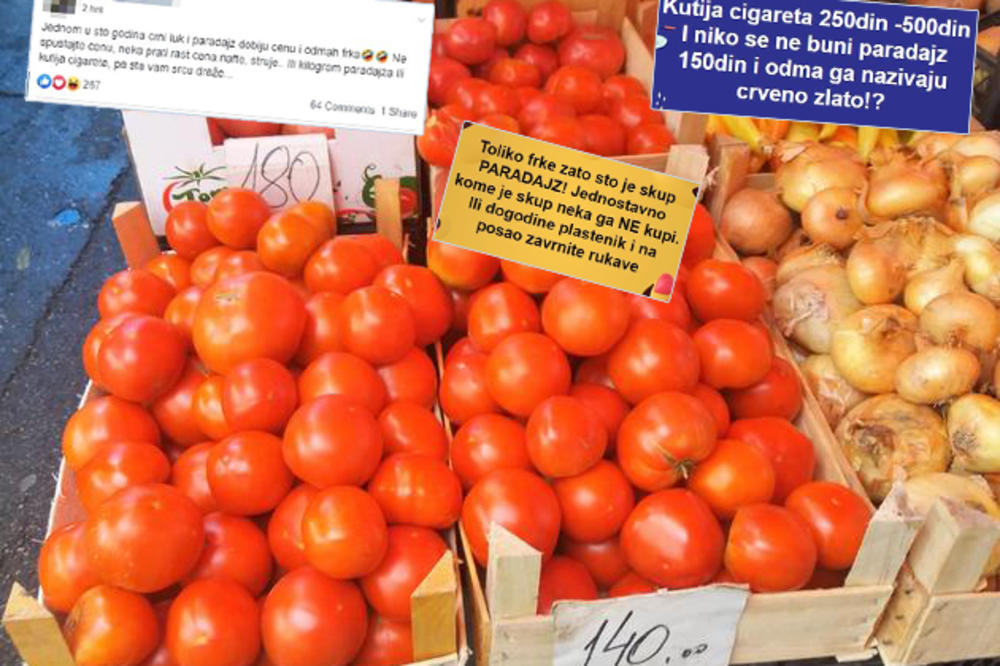 GORI FEJSBUK ZBOG CENE OVOG POVRĆA, A EVO ŠTA KAŽU POVRTARI: A skup vam je paradajz? Dogodine u plastenik, pa zavrnite rukave (ANKETA)