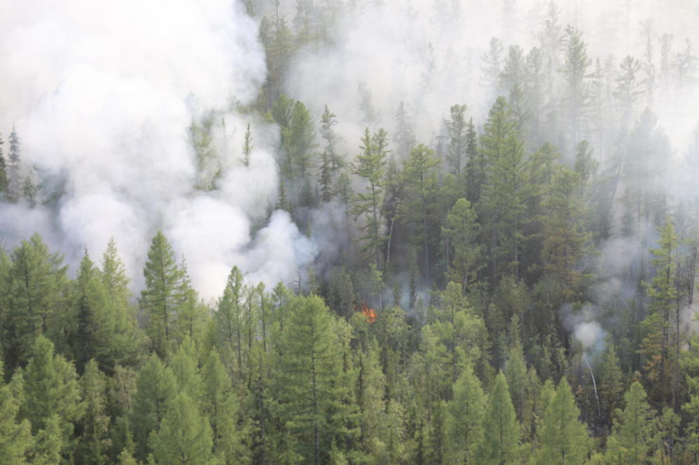 POŽARI U SIBIRU PODMETNTI:  Otkriveno da su šume u regionu Irkutska zapaljene kako bi se prikrile ilegalne radnje kriminalaca! (VIDEO)
