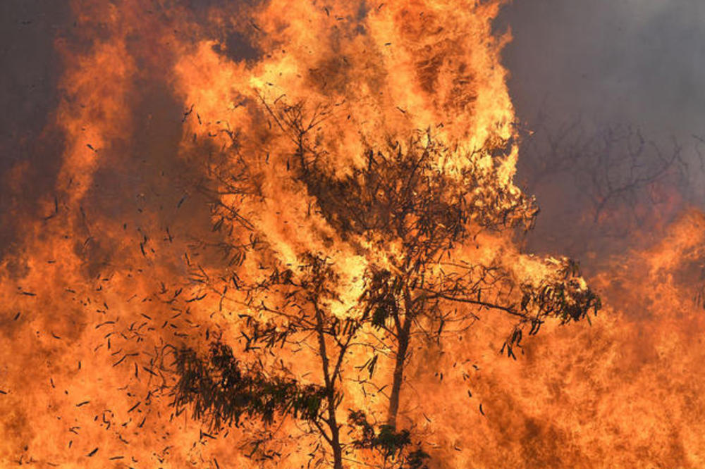 EKOLOŠKA KATASTROFA NEZAPAMĆENIH RAZMERA: Šumski požari u Sibiru