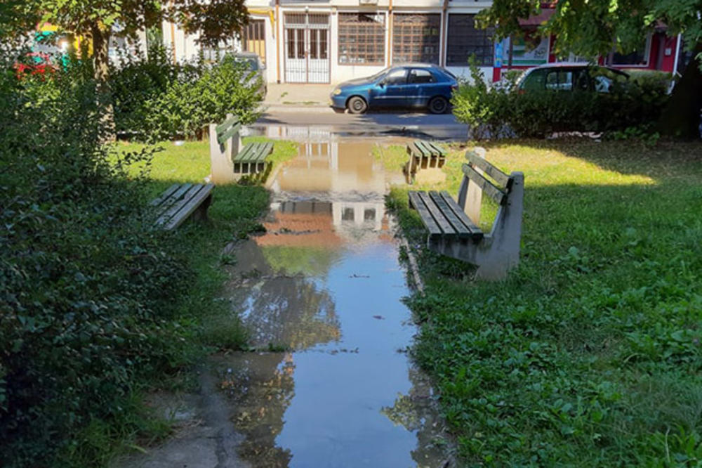 U PERE VELIMIROVIĆA 20 MOŽETE SAMO U ČIZMAMA! Stanari zgrade se žale: Pukla je cev, ispred ulaza je jezero, niko ne dolazi da popravi kvar, a evo šta kažu iz vodovoda (FOTO)