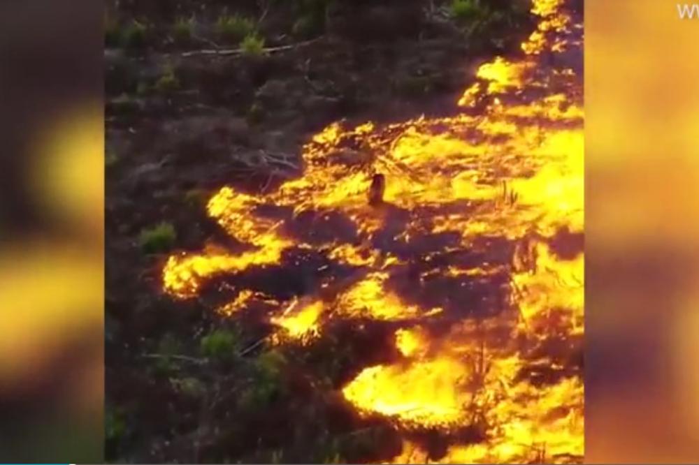 VATRENA STIHIJA I DALJE UNIŠTAVA AMAZON: Požari u Brazilu vidljivi i IZ SVEMIRA (VIDEO)