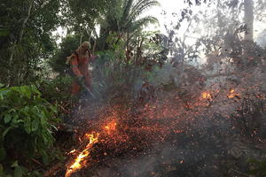 OPASNOST U AMAZONIJI JOŠ NIJE PROŠLA: Požari bi mogli da se prošire na netaknute delove, a prave razmere KATASTROFE još uvek ne mogu da se sagledaju! (VIDEO)