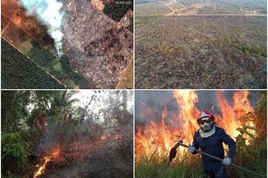 OVI SNIMCI POKAZUJU RAZMERE KATASTROFE U AMAZONIJI: Gore pluća sveta, a svakog minuta se uništi površina veća od 3 fudbalska terena! Evo zašto moramo svi da budemo zabrinuti! (VIDEO)