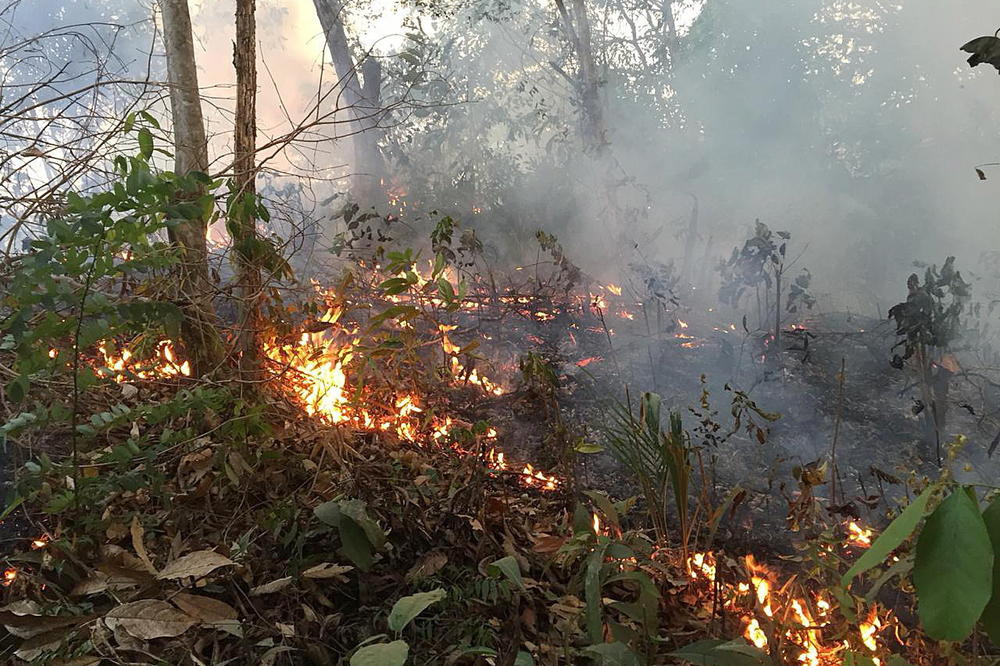VATRA PONOVO ZAHVATILA "PLUĆA PLANETE": Besne novi požari u Amazoniji, prete da budu gori od onih prošle godine