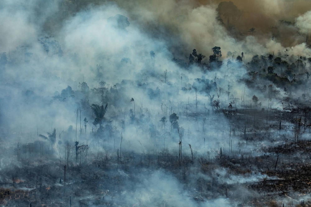 LIDERI G7 OBEĆALI: 20 miliona dolara za gašenje požara u Amazoniji