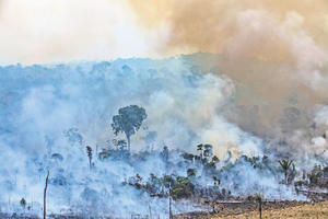 BRAZILCI SE GUŠE: Sve više disajnih problema zbog požara u amazonskoj prašumi