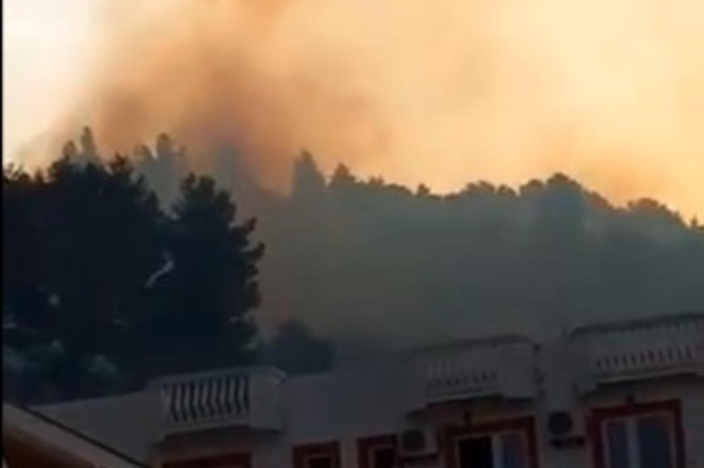 DRAMA U SUTOMORU OD RANA JUTRA: Požar se širio prema kućama, kanaderi i 20 vatrogasaca jedva ga obuzdali! (VIDEO)