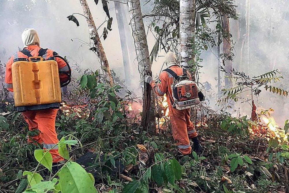 Amazonija u požaru: Koliko je situacija loša