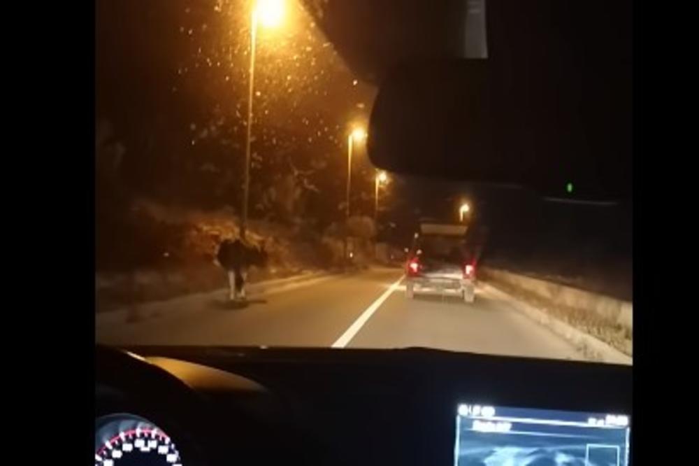 HRVAT KOLIMA ZLOSTAVLJAO KRAVU: Privezao je za vozilo i vukao dok skoro nije pala od iznemoglosti (UZNEMIRUJUĆI VIDEO)
