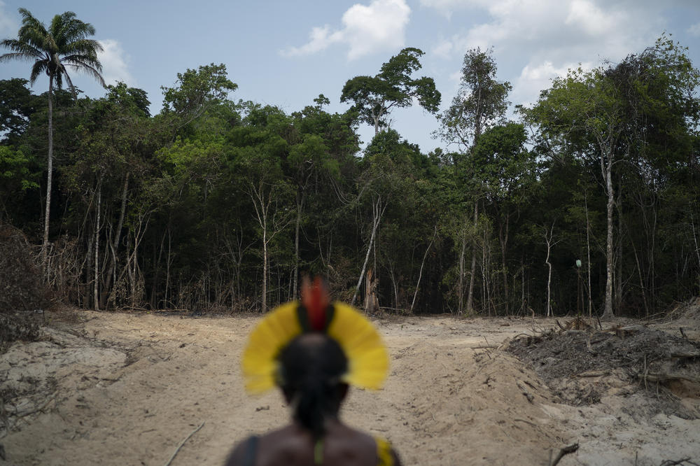 MILIONI DOLARA ZAPLENJENI OD KRIMINALA ZA SPAS AMAZONIJE: Novac oduzet naftnoj kompaniji zbog korupcije