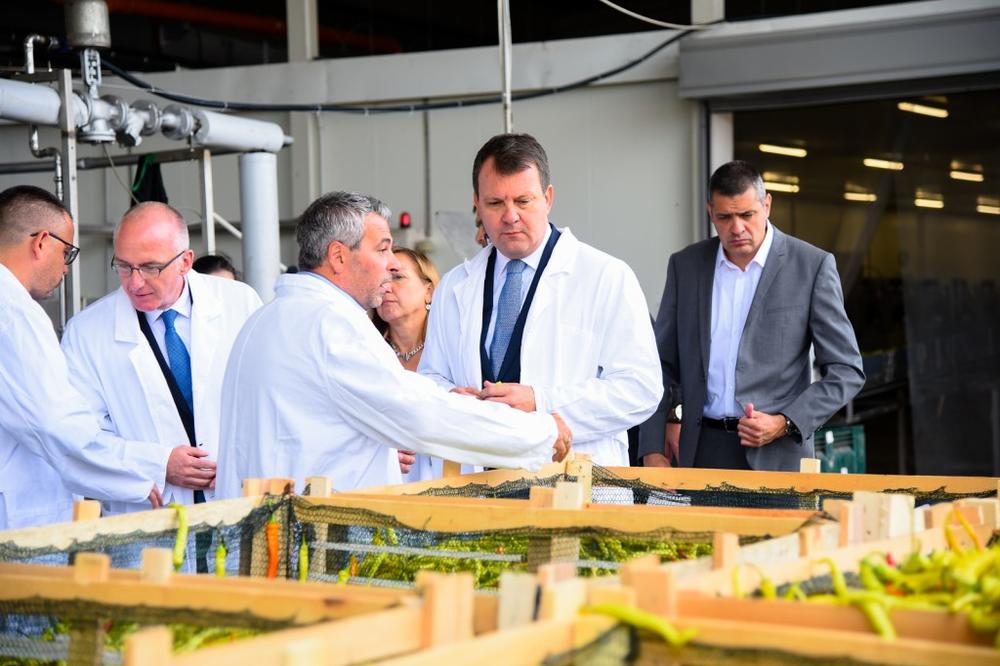Pokrajinska vlada: Otvorena fabrika za preradu povrća nemačke kompanije „Mamminger konserven - SRB” vredna 4 miliona evra