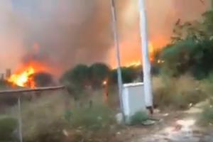 POŽARI U GRČKOJ OPASNO PRIŠLI KUĆAMA: Gori čuvena Atika, naređena hitna evakuacija