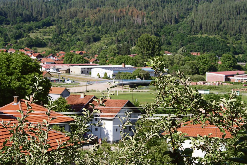 selo, Bosilegrad