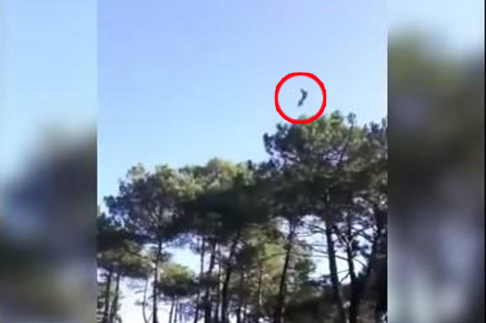 PRVI SNIMAK PADA BELGIJSKOG F-16 U FRANCUSKOJ: Evo kako je pilot  završio na dalekovodu i koliko dugo su ga spasavali (VIDEO)