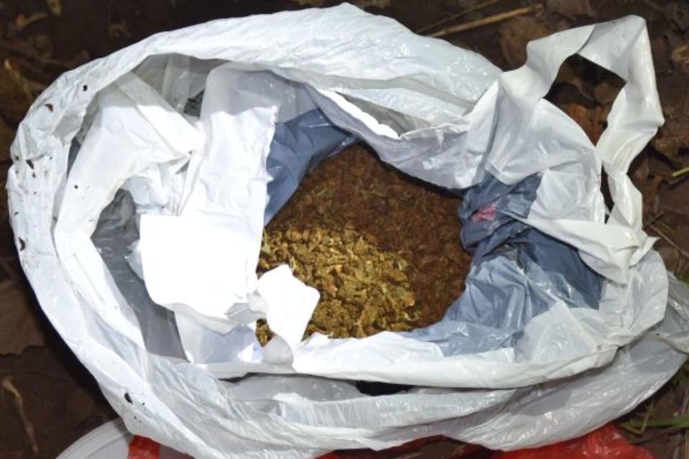 UHAPŠEN ZBOG DILOVANJA DROGE: Policija osumnjičenog zatekla na njivi u blizini Subotice, zakopavao kutiju sa 250 grama marihuane